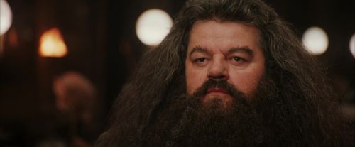 Click to view full size image
==============
PF-Potterish_01974.jpg PF-Potterish_01974.jpg