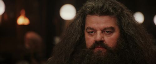 PF-Potterish_01975.jpg