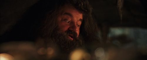 Click to view full size image
==============
PF-Potterish_02042.jpg PF-Potterish_02042.jpg
