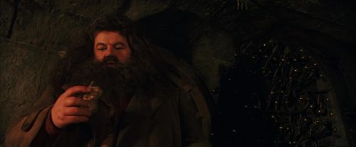 PF-Potterish_02098.jpg