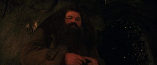 PF-Potterish_02101.jpg