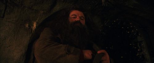 PF-Potterish_02102.jpg