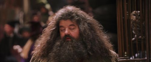 PF-Potterish_02124.jpg