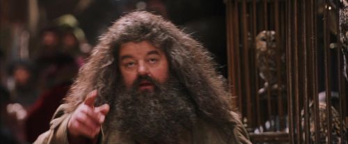PF-Potterish_02125.jpg