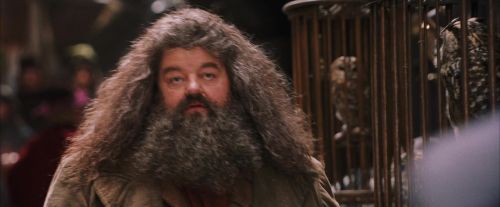 Click to view full size image
==============
PF-Potterish_02126.jpg PF-Potterish_02126.jpg