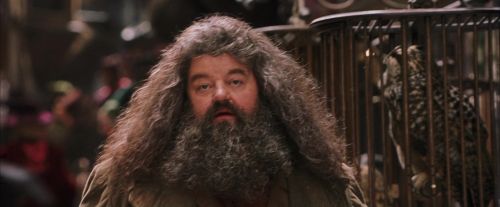PF-Potterish_02127.jpg
