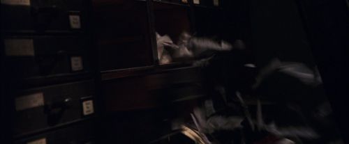 PF-Potterish_02238.jpg