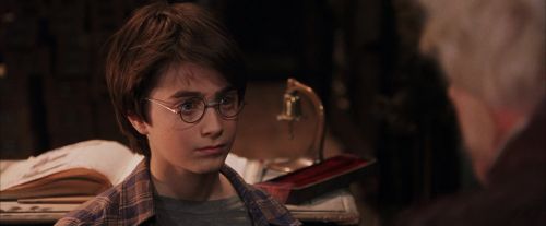 PF-Potterish_02403.jpg