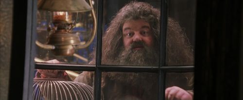 PF-Potterish_02450.jpg