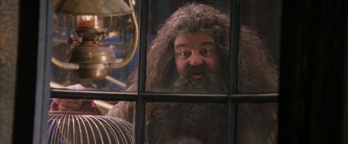 Click to view full size image
==============
PF-Potterish_02451.jpg PF-Potterish_02451.jpg