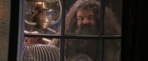 PF-Potterish_02452.jpg