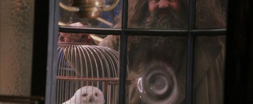 PF-Potterish_02453.jpg