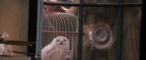 Click to view full size image
==============
PF-Potterish_02454.jpg PF-Potterish_02454.jpg