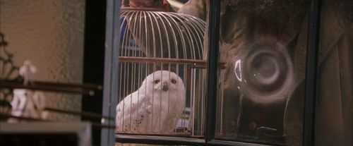 PF-Potterish_02455.jpg