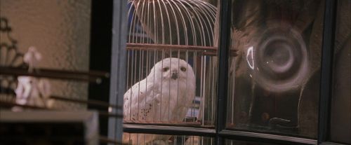 PF-Potterish_02456.jpg