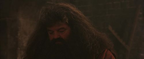 PF-Potterish_02476.jpg