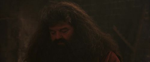 PF-Potterish_02480.jpg