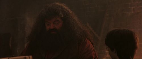 Click to view full size image
==============
PF-Potterish_02483.jpg PF-Potterish_02483.jpg