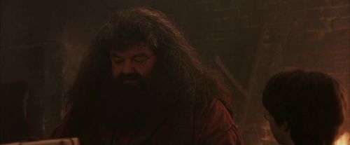 PF-Potterish_02485.jpg