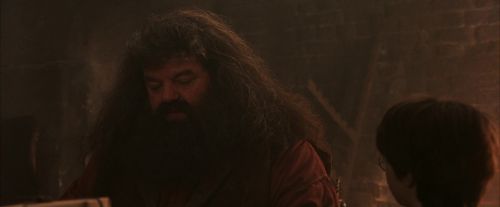 PF-Potterish_02487.jpg