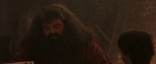 PF-Potterish_02488.jpg