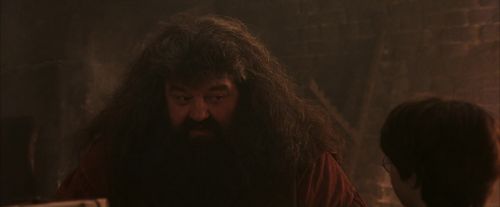Click to view full size image
==============
PF-Potterish_02490.jpg PF-Potterish_02490.jpg