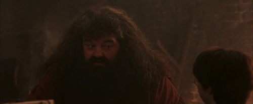 PF-Potterish_02491.jpg