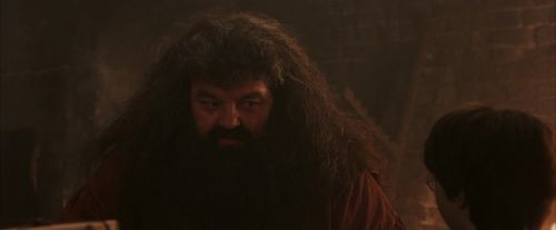 PF-Potterish_02492.jpg