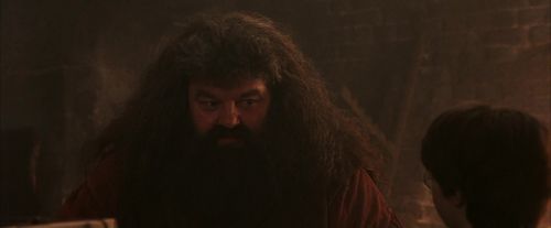 PF-Potterish_02493.jpg