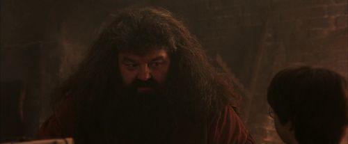 Click to view full size image
==============
PF-Potterish_02494.jpg PF-Potterish_02494.jpg