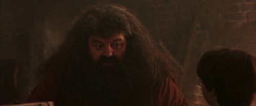 PF-Potterish_02495.jpg