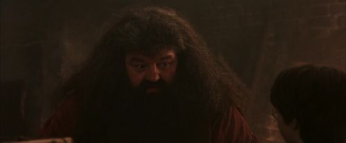PF-Potterish_02503.jpg