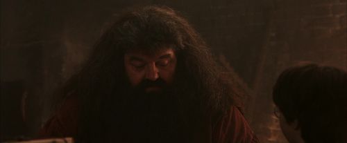 PF-Potterish_02504.jpg