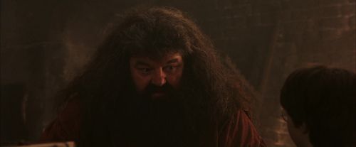 Click to view full size image
==============
PF-Potterish_02505.jpg PF-Potterish_02505.jpg