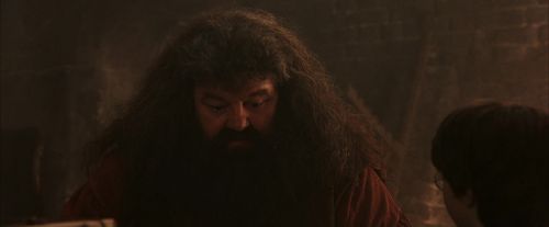 Click to view full size image
==============
PF-Potterish_02506.jpg PF-Potterish_02506.jpg