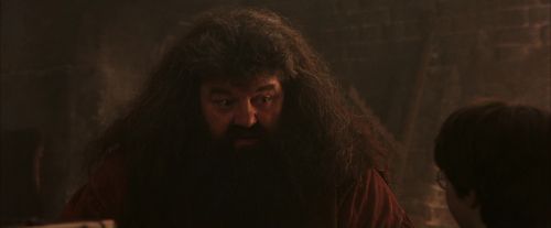 PF-Potterish_02507.jpg