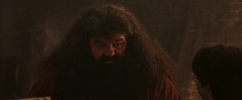 Click to view full size image
==============
PF-Potterish_02508.jpg PF-Potterish_02508.jpg