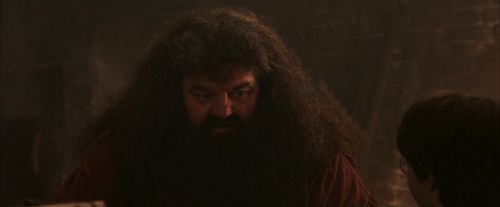 Click to view full size image
==============
PF-Potterish_02509.jpg PF-Potterish_02509.jpg