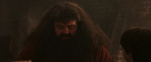 PF-Potterish_02510.jpg
