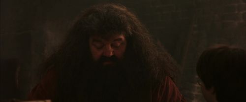 PF-Potterish_02511.jpg