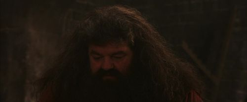 Click to view full size image
==============
PF-Potterish_02517.jpg PF-Potterish_02517.jpg
