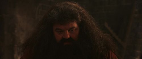 PF-Potterish_02520.jpg