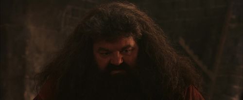 PF-Potterish_02521.jpg