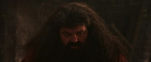 PF-Potterish_02522.jpg