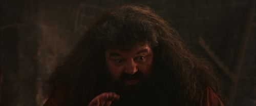 PF-Potterish_02525.jpg