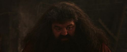 Click to view full size image
==============
PF-Potterish_02526.jpg PF-Potterish_02526.jpg