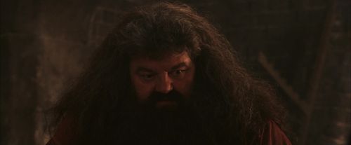 Click to view full size image
==============
PF-Potterish_02530.jpg PF-Potterish_02530.jpg
