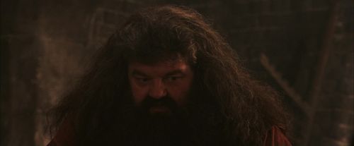 PF-Potterish_02531.jpg