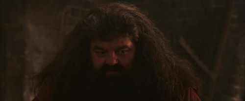 Click to view full size image
==============
PF-Potterish_02533.jpg PF-Potterish_02533.jpg