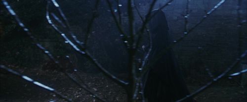 PF-Potterish_02535.jpg